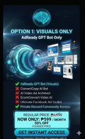 OPTION 1: Visual Only